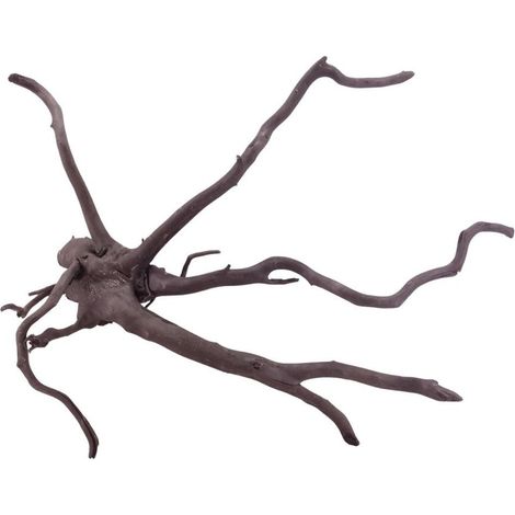 XL Black Spider Wurzel Nr.5271 Fingerwurzel Echtholz Deko Aquascaping