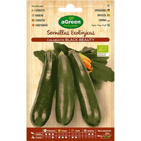 Bustina con semi di zucchina biologici Black Beauty Agreen