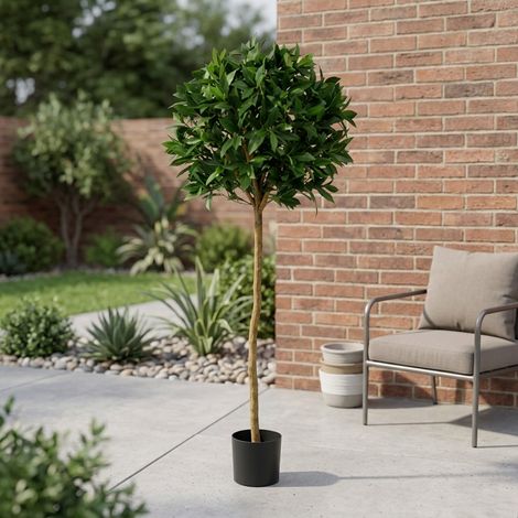 Lush Green Sweet Bay Ball Potted Tree (1/2)