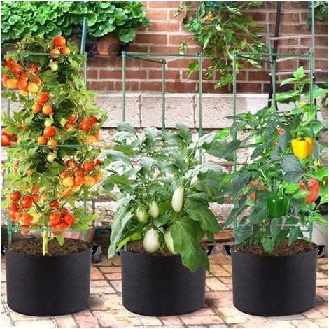 Lot de 3 cages à tomates carrées avec sacs culture 15 litres, kit piquets support pour plantes jardin, treillis fleurs, légumes grimpantes verticales (160 cm) - 160 cm (1/5)