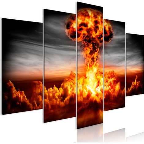Tableau Imprimé 5 Panneaux "Explosion Wide" 50 x 100 cm (1/2)