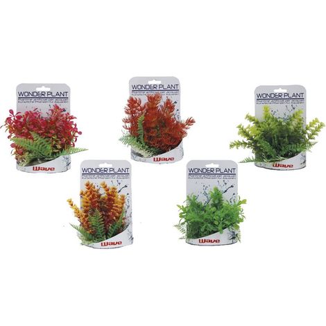 Set 10 pezzi Wonder Plant Series C 15-18 cm colori e forme assortite