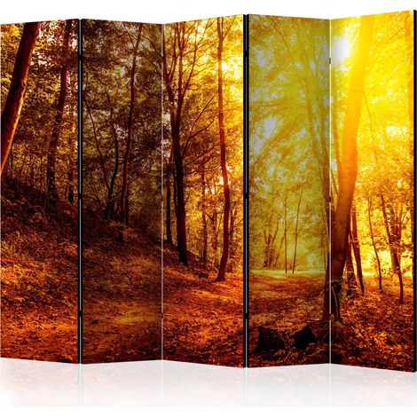 Paravento - Autumn Walk II [Room Dividers] - 225x172 (1/4)