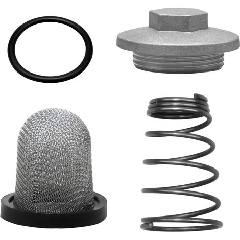 Moto Scooter Huile de Vidange Bouchon Ensemble, Moto Set D'accessoires  Moto Scooter Bouchon Vidange D'huile Moteur, Joint Torique + Filtre + Ressort, pour 50-150cc GY6 Moto Set D'accessoires (1/5)