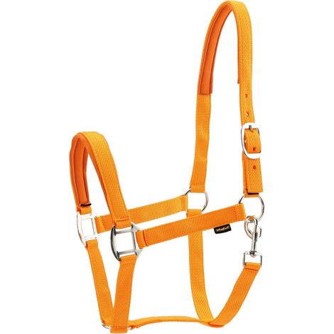 Horse Guard Nylonhalfter für Pferde - orange - Kaltblut (1/2)