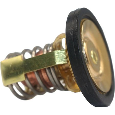 1 color: as shown in the picture. Material: ABS + metal. 885599003 Outboard engine thermostat 8M005 (1/4)