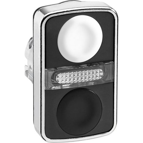 Interrupteur Schneider Electric o22 double éclairage IP66