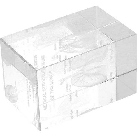 Cube en Cristal Gravé 3d Modèle D'anatomie Réaliste du Poumon Humain pour Affichage Éducatif et Outil Scientifique Bureau (1/5)
