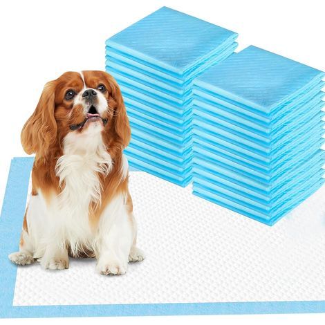 Apprentissage de La propreté pour Chien Ultra Absorbant Tapis de Dressage pour Animaux de Compagnie Tapis Éducateurs pour Chiot et Chat 33 x 45 cm, Lot de 100 (1/5)