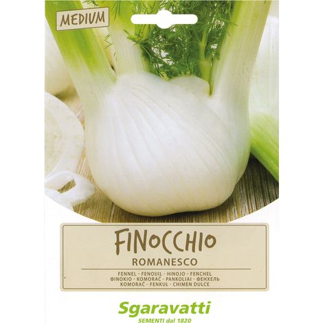 SEMI PER ORTAGGI E VEGETALI finocchio romanesco Q.TA 20 finocchio romanesco