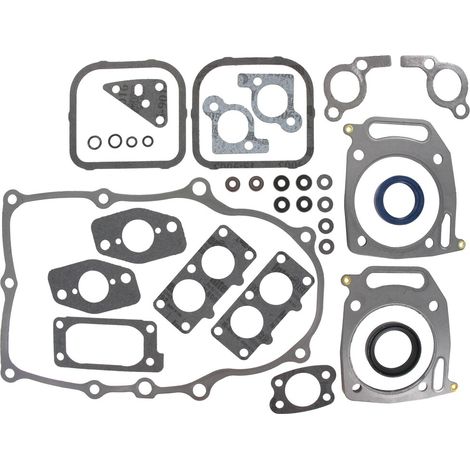 Dichtungssatz motor BRIGGS ET STRATTON 842658