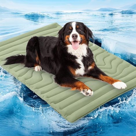 Tappetino rinfrescante per cani - Portatile - 122x71cm - Cuccia estiva per cani - Antiscivolo - Lavabile - Verde - L (1/5)