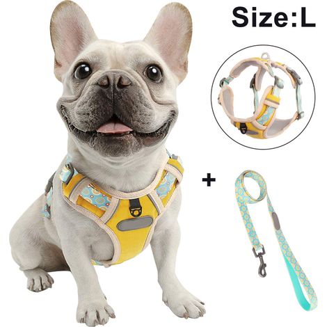 Harnais de poitrine pour chien avec corde de traction, gilet respirant pour animaux de compagnie pour la promenade, le dressage et le contrôle en extérieur pour les races moyennes et grandes.