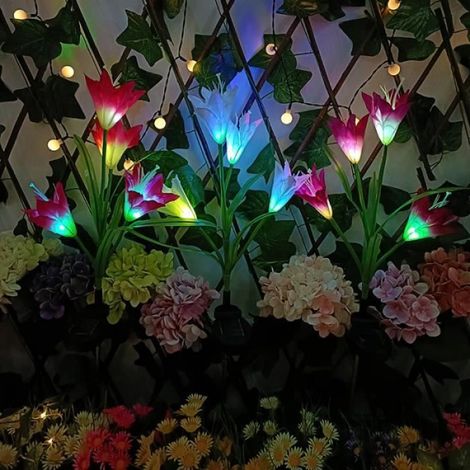 Lampe décorative - Solaire - LED - Couleur aléatoire - Extérieur - Multicolore (1/4)