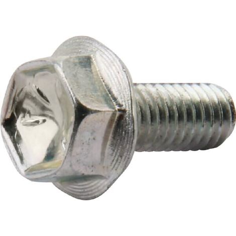 Vite BRIGGS ET STRATTON 807084