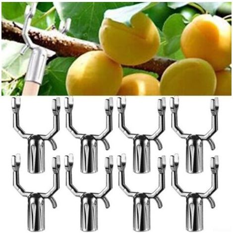 Lot de 8 supports de branche d'arbre fruitier - Support de branche de plante - Support de branche de plante - Outils de décoration - Supports pour piquets d'arbre fruité - Support de branches d'arbre( (1/4)