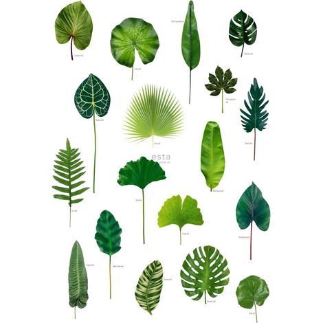 Papier peint panoramique feuilles tropicales vert jungle – 200 x 279 cm – Papier intissé avec encres écologiques – Pose facile sans table à tapisser – Estahome (1/5)