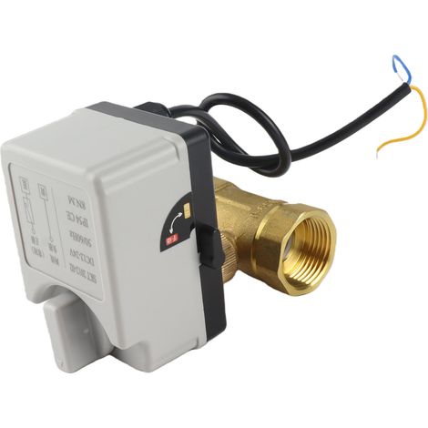 Vanne à billes motorisée 2 voies 2 fils fermée au repos DN25 laiton ABS 12V-24V DC pour industrie IP54 (1/5)