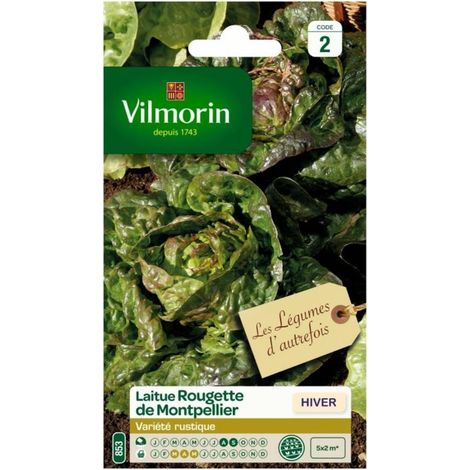 Sachet graines  Laitue d'hiver Rougette de Montpellier (1/2)