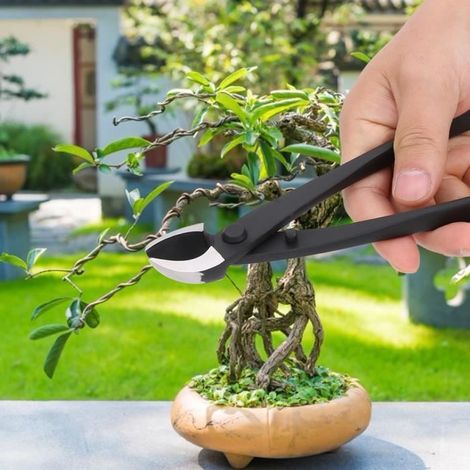 Coupe-branche Bonsai KEENSO - Pince Oblique Composite Steel - 20,5x5,5x2 cm (1/4)