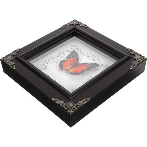 Cadre Vintage pour Spécimen D’insecte Rouge Scie Poudre, Cadre Photo Décoratif Suspendu Diy, Exposition Insectes pour Décoration Murale Maison et Bureau, Encadré Authentique (1/5)