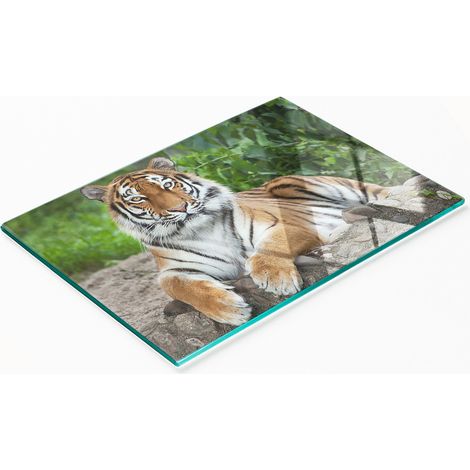 Tabla de cocina de vidrio templado con estampado de tigre siberiano, 80x52 cm. (1/5)