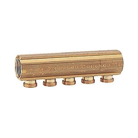 Manifold Giacomini r580y065 5 uscite 16 bar pressione