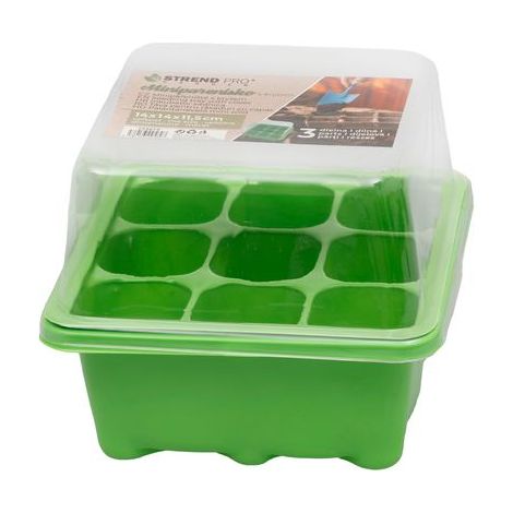 Mini-Gewächshaus Strend Pro, Set, 14x14x11,5 cm