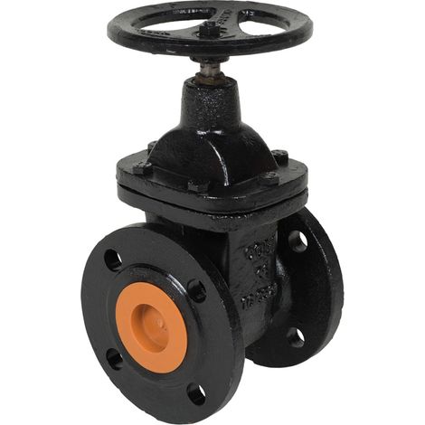 Vanne de verrouillage pour SANIPUMP, SANISUB ZPG ZFS VX et SANICUBIC GR - DN 50 en fonte - SFA