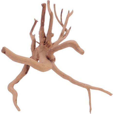 M Moorkienwurzel Nr.4398 Holz Deko Aquascaping