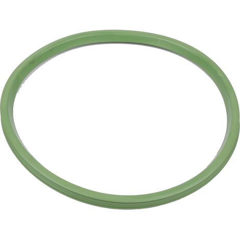 BLÜCHER EuroPipe Dichtung FPM DN 200