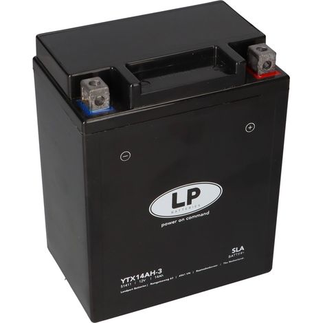 Batterie AGM SLA 12V 14Ah für Motorrad Startbatterie MS LTX14AH-3 (1/5)