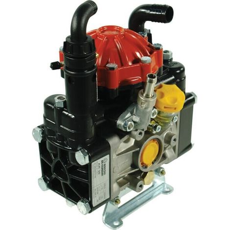 Pompa AR 30 SP SGC BlueFlex ANNOVI REVERBERI 16282AR (1/3)