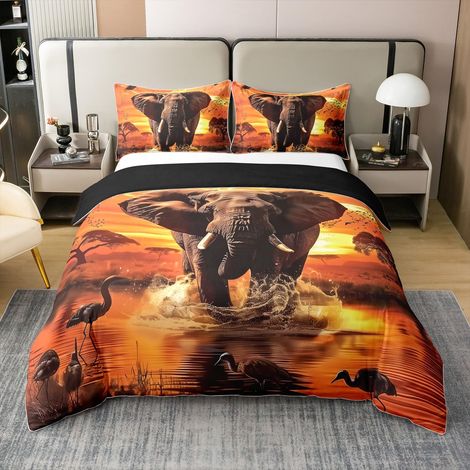 Parure de lit 100 % coton - Motif éléphant, paysage de coucher de soleil, nature sauvage africaine - Housse de couette de 135 x 200 cm - 1 taie d'oreiller - Motif aigle - Pour décoration de chambre (1/5)