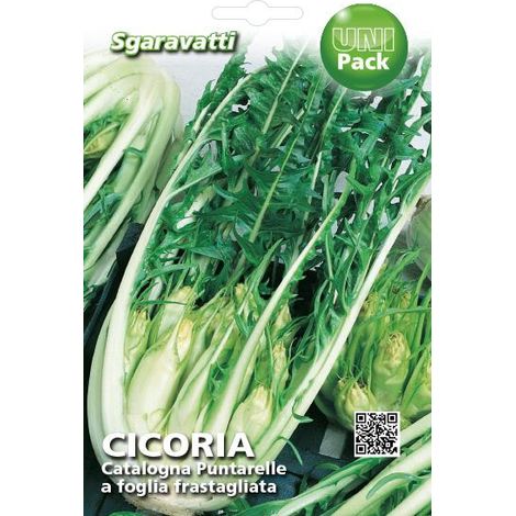 Semi per Ortaggi e Vegetali Cicoria Catalogna Puntarelle 20 Pezzi