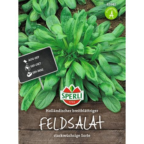 Sperli Feldsalat Holländischer breitblättriger - Gemüsesamen (1/4)