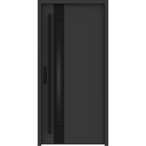 Porte d'entrée en acier pleine et inox H207 x L100 cm - épaisseur 68mm - verre fumé - anthracite et noir - poussant droit - CALOSA