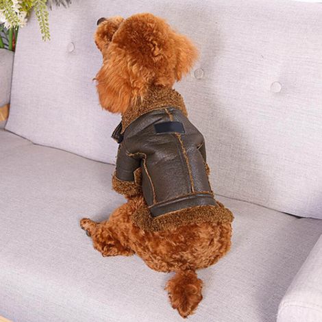 Veste en cuir pour chien, vêtement d'hiver chaud et confortable pour chien, idéal pour la maison, l'extérieur et les fêtes. (1/5)