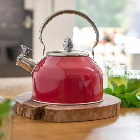 Bouilloire à sifflet 2,5L induction tous feux épaisseur 0,35mm (1/5)