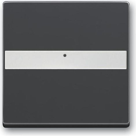 Copertura interruttore Busch-Jaeger 1764 nli-885 campo etichetta nero opaco