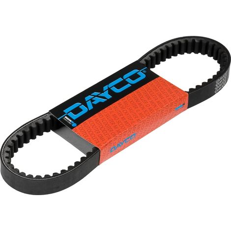 Cinghia di trasmissione Dayco, Peugeot / TGB