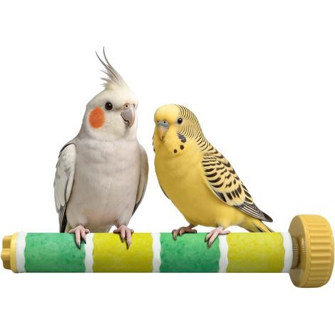 Perchoirs pour Cage, Perchoir pour Perroquet à Surface Rugueuse Sablée, Bâtonnets Abrasifs pour Le Bec et Les Griffes des Perruches (Jaune et Vert) (1/5)