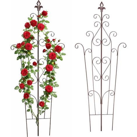 Treillis lot de 2, HxL 100x40 cm, métal vintage, support plantes grimpantes pour jardin et pots, marron (1/5)