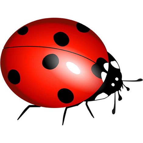 Brosses à dents coccinelle adorables avec ventouse murale, ensemble de salle de bain, porte-brosse à dents à ventouse en forme de coccinelle.