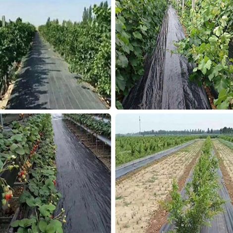 Tissu de Jardin Anti-Mauvaises Herbes Résistant, Bâche de Protection pour Allées et Extérieur, Couverture Durable