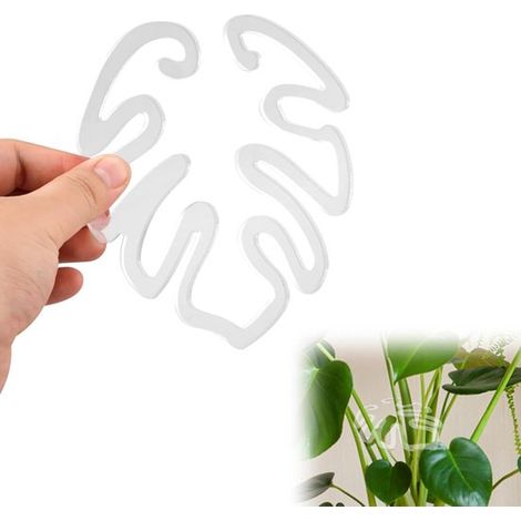 Support pour plantes - Support en forme de feuille - Stabilisateur pour tiges - Support pour Monstera deliciosa - 14 x 10 cm - Blanc cassé - Plastique (1/5)