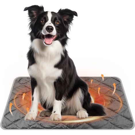 115 x 72cm Coussin Auto-Chauffant, Tapis Animaux Doux, Couverture Peluche Lavable, Tapis Thermique Anti-Dérapant, Matelas Extra-Chaud, Coussin Multifonctionnel pour Chat, Chien, Chiot (Gris) (1/5)