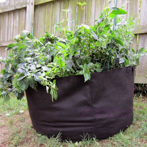 Schwarzer Pflanzsack für Pflanzen, Gemüse und Blumen, Belüftung, Pflanztopf (10 Gallonen)