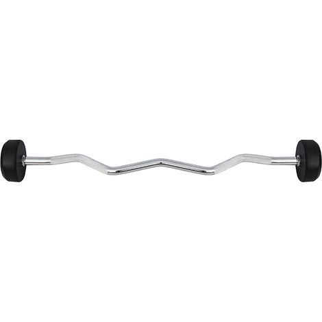 25 kg Rubber Coated Barbell - Curled, Gym Equipment (1/4)