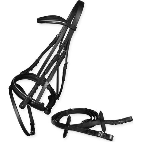 Full, Marrone: Briglia inglese in cuoio con inserti Silver laced su frontalino e capezza con redini in tela (1/4)